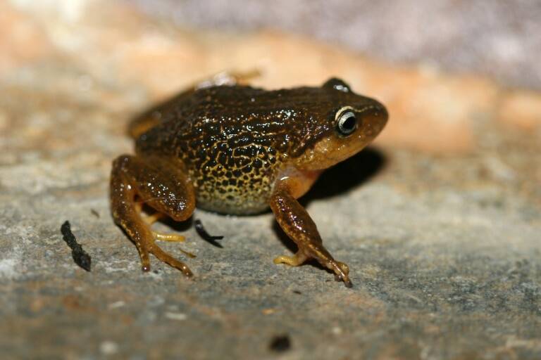 fotonoticia
