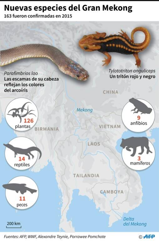 noticia