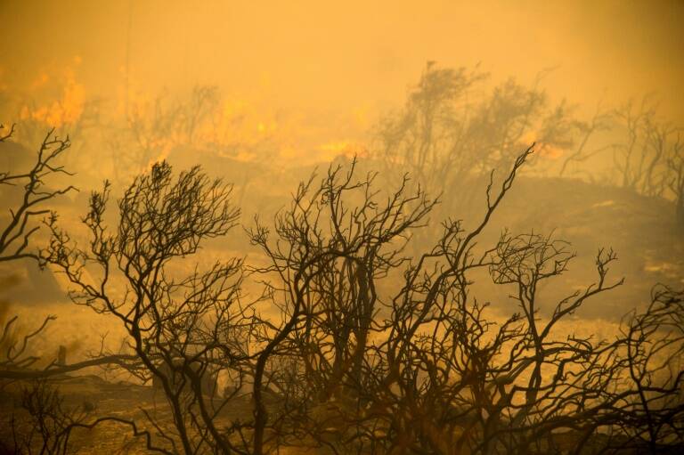 EEUU,incendio,medioambiente,sequa