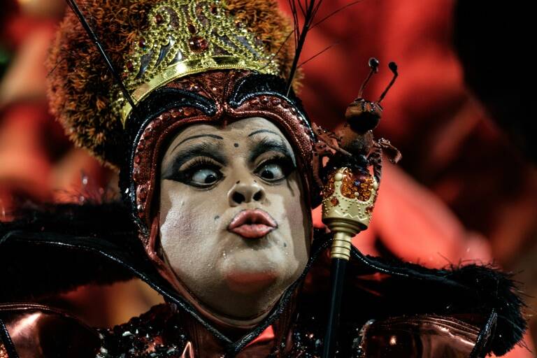 Brasil, salud, carnaval, economía, zika