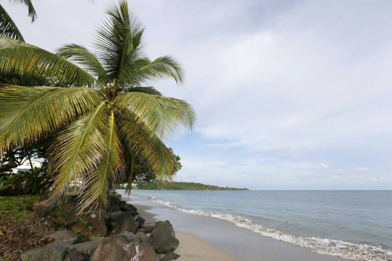 Panamá - Caribe - clima - corales - ciencias