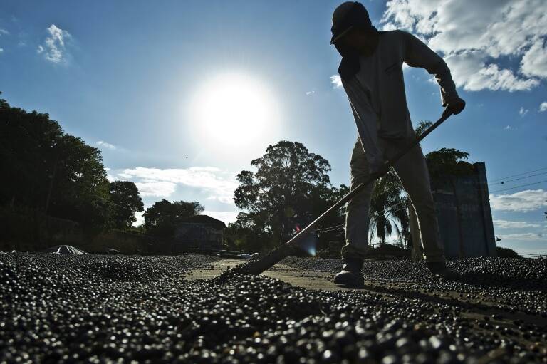 Colombia - cultivos - caf - comercio