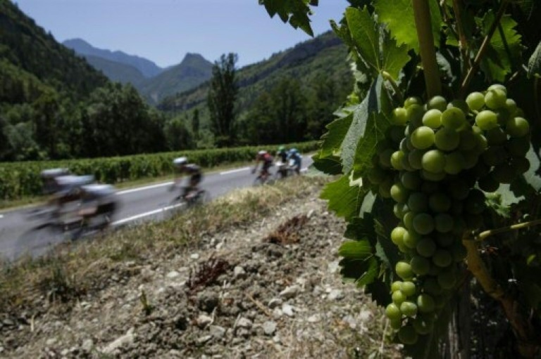 Francia - Chile - vinicultura - patrimonio - ciclismo