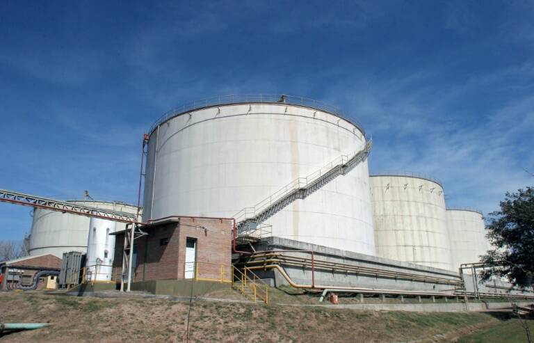 OMC - Argentina - biodiésel - UE - energía