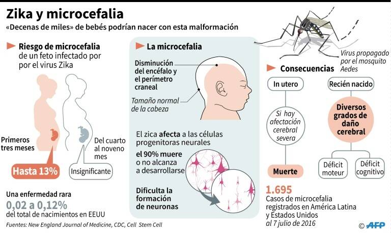 FotoNoticia