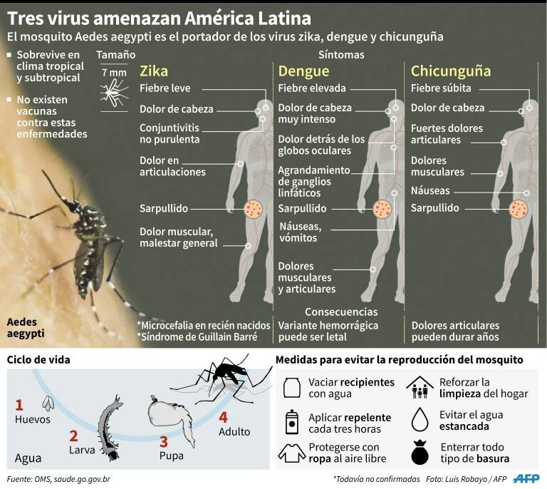 FotoNoticia