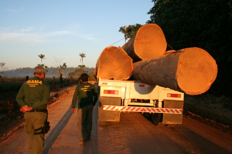 Colombia - medioambiente - deforestacin - incendios