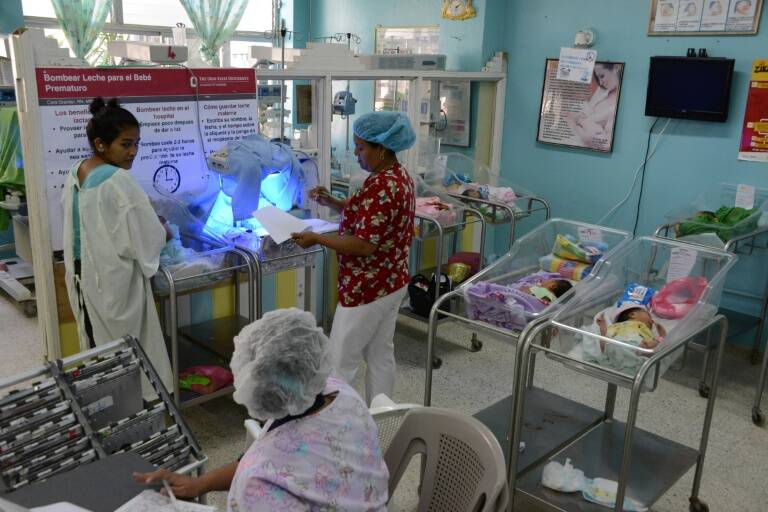 Brasil - ciencia - medicina - virus - Zika - salud