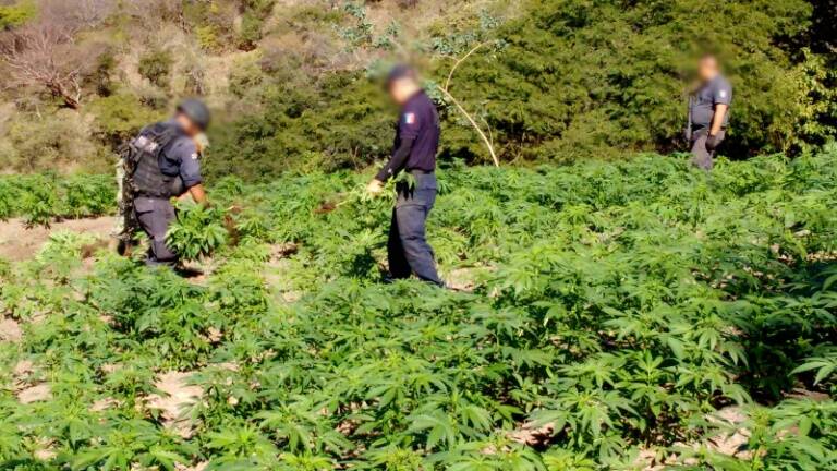 México - crimen - drogas
