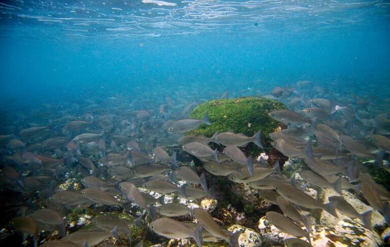 UNESCO - clima - medioambiente - patrimonio - turismo