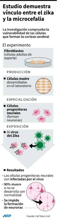 noticia