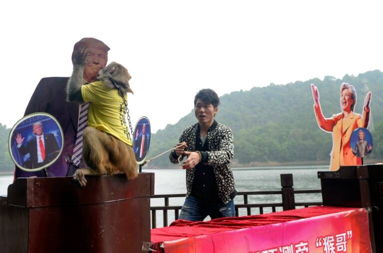China - EEUU - elecciones - animales