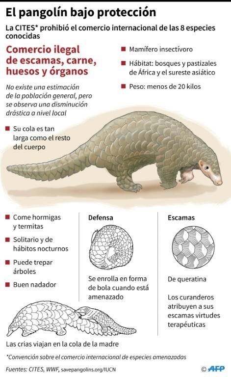 noticia