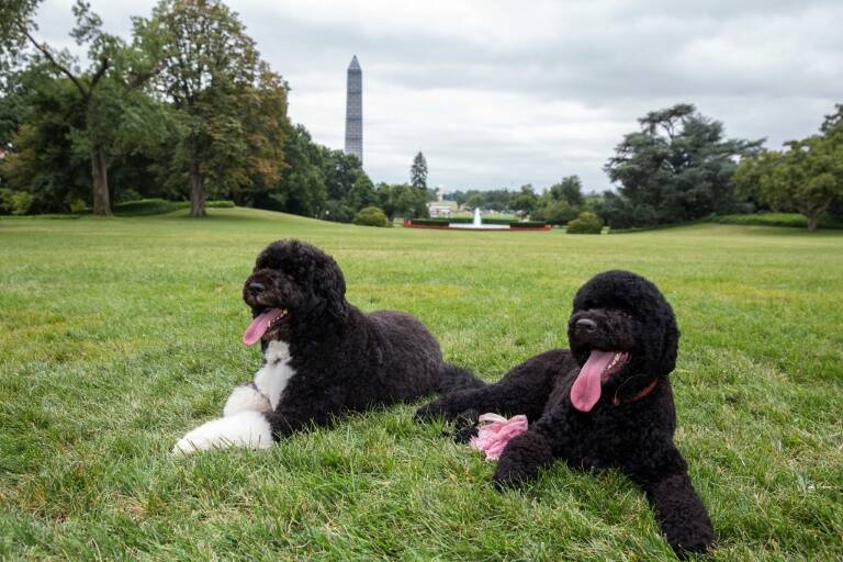 EEUU - arresto - Obama