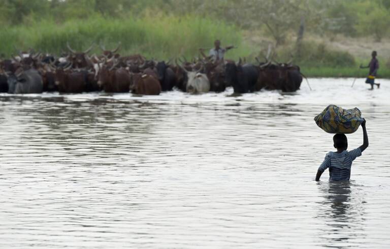 UE, cumbre, frica, Chad, Nigeria, Nger, Camern, migracin, ONU, COP21, clima, medioambietne