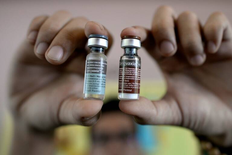 Salud - dengue - vacunas - farmacéutica