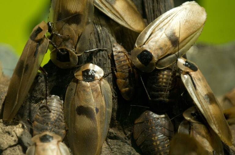 fotonoticia