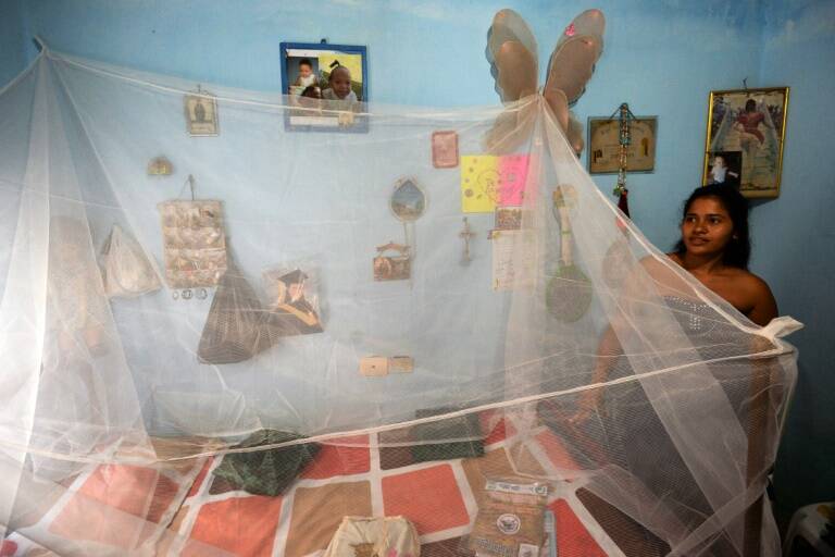 Bolivia - salud - Zika - dengue - chicunguña