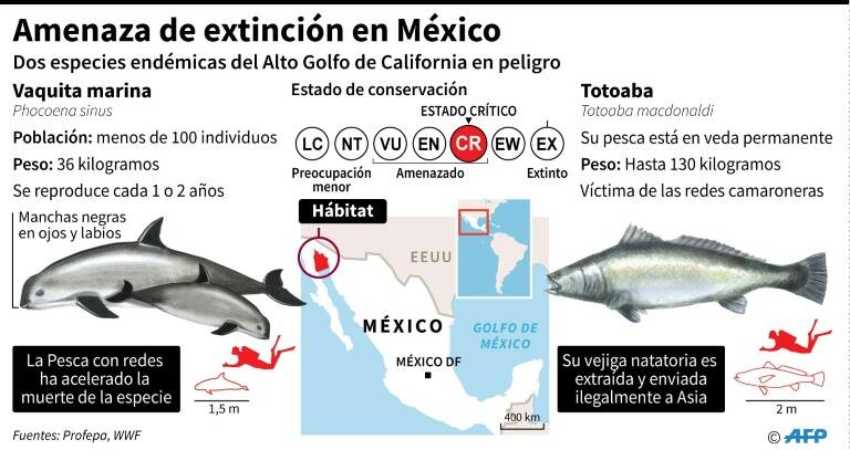 noticia