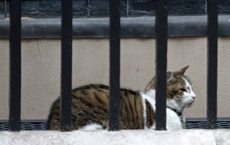 GB - UE - insólito - animales - política - Brexit