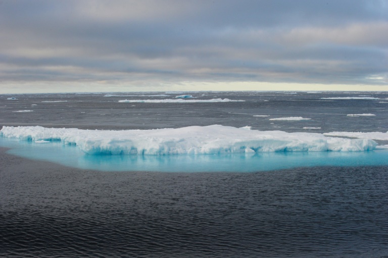 Clima - medioambiente - COP21 - Canad - rtico - ciencias