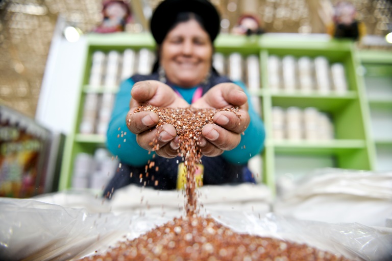 Perú, Bolivia, quinua, agricultura, alimentos