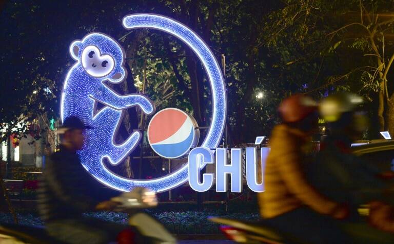 China,turismo,ocio,animales,AñonNuevo