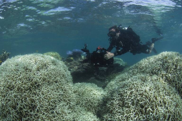 Australia,clima,medioambiente