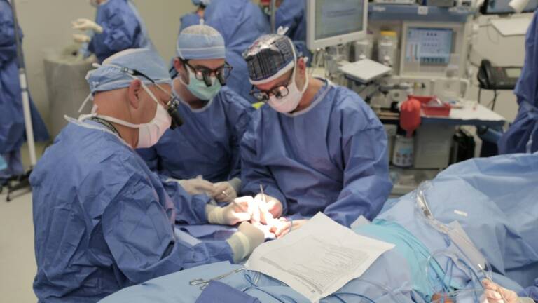 Polonia - medicina - trasplantes