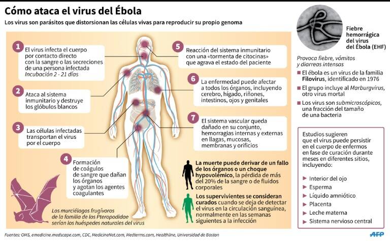 noticia