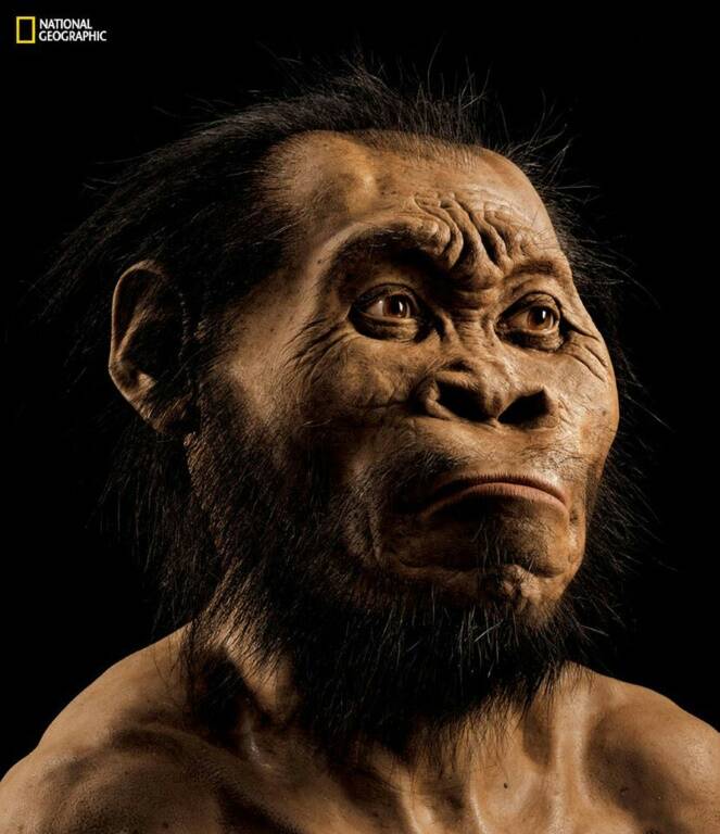 EEUU - Etiopía - biología - gente - ciencia
