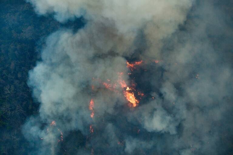 Brasil, incendio, medioambiente, indígenas