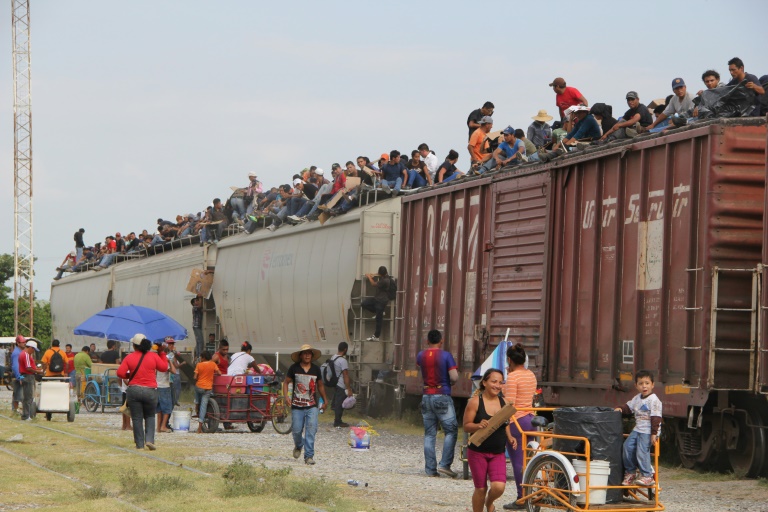 migración - empresas - transporte - México