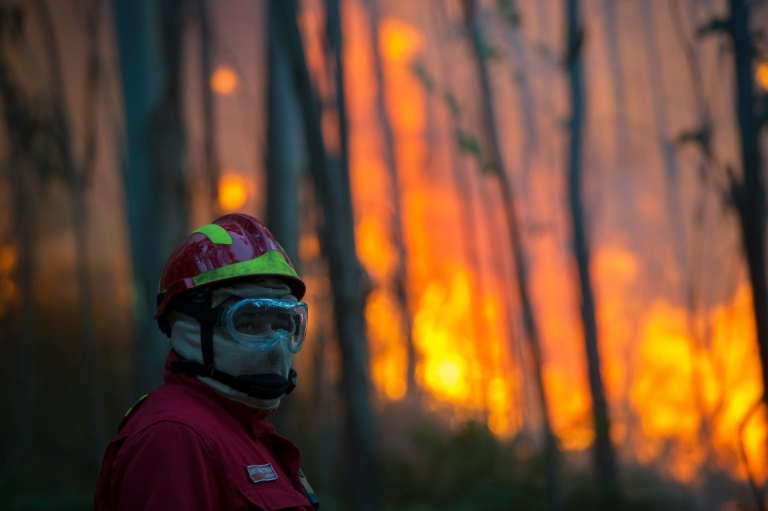 Portugal,incendios,medioambiente