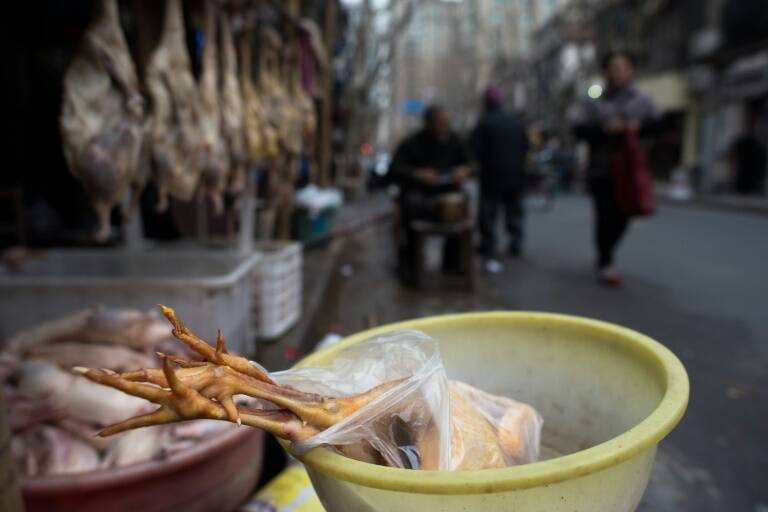 alimentos,salud,interpol,Francia