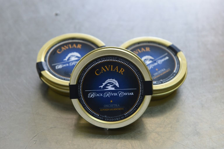 Uruguay - gastronoma - caviar - comercio - social - medioambiente - ciencia