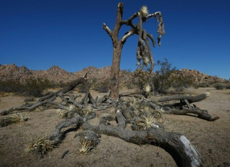 California sigue sumida en la sequía, a pesar de las lluvias de El Niño