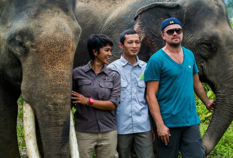 EEUU - Indonesia - cine - animales - preservación