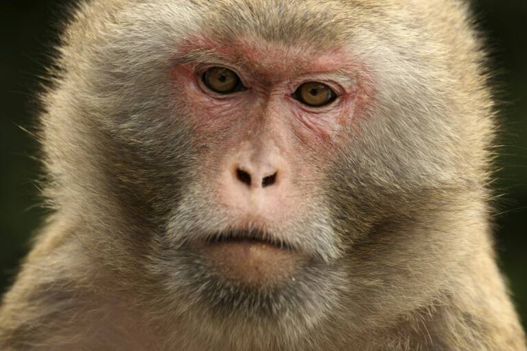EEUU - Ciencia - biología - animales - sexo
