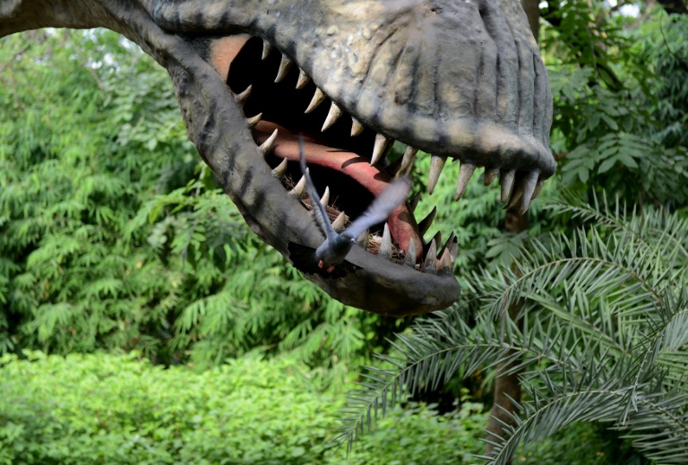 EEUU - China - ciencia - paleontologa - dinosaurios
