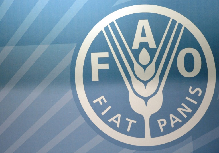 Chile - alimentos - FAO