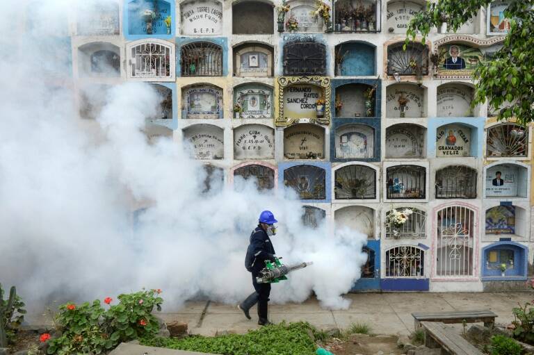 Argentina - salud - virus - zika