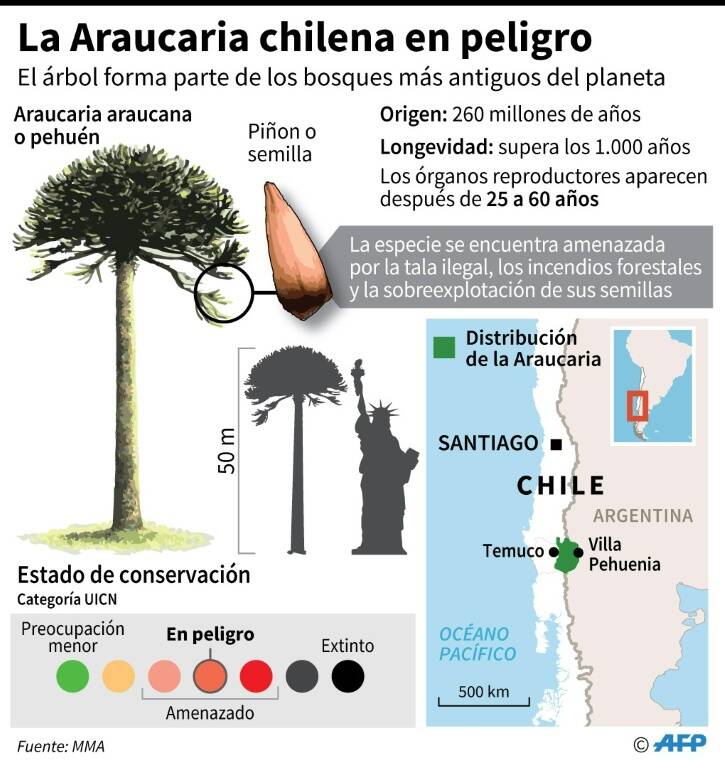 noticia