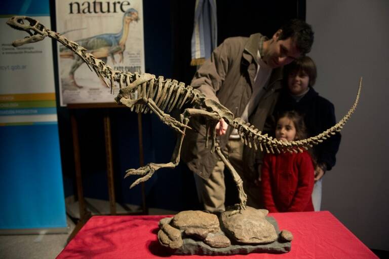 paleontología - ciencia - Argentina - EEUU