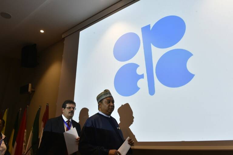 Arabia - Argelia - petrleo - poltica - OPEP