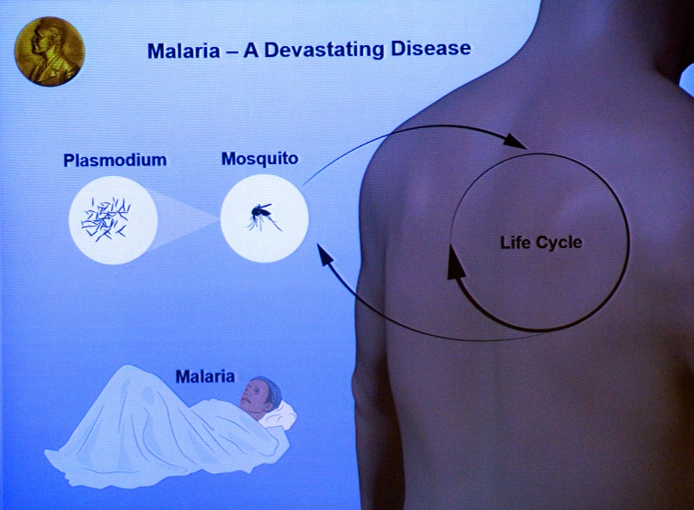 OMS - paludismo - enfermedad - salud