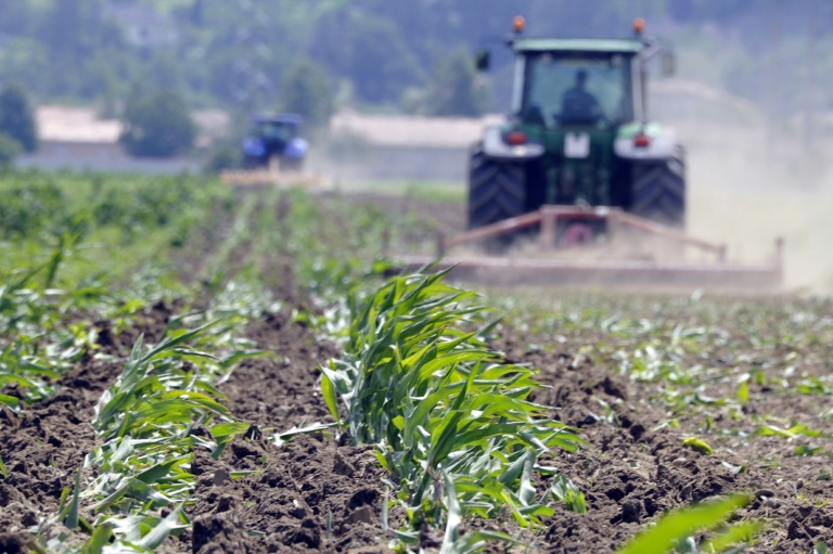 UE - agricultura - medioambiente - cultivos - biotecnologa - transgnicos - OGM