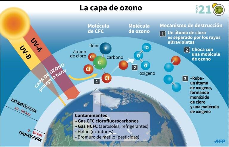 noticia