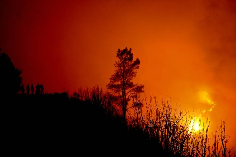 Portugal,medioambiente,incendio,bosques
