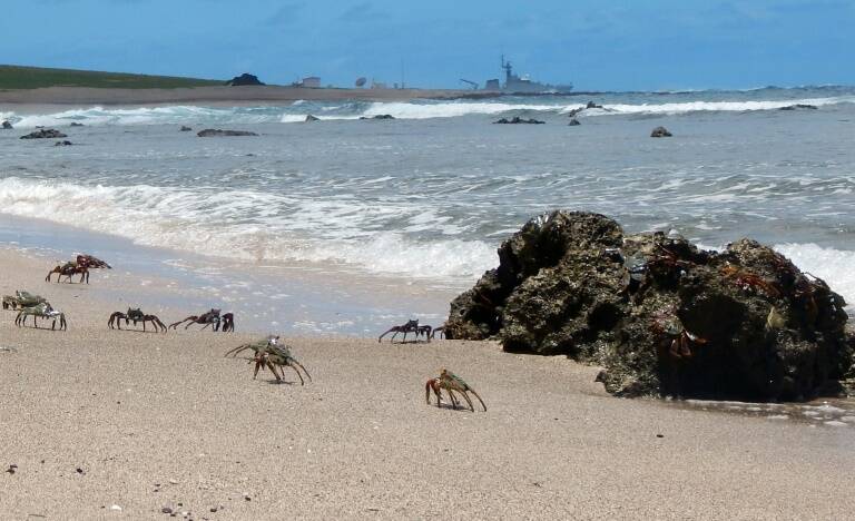 Brasil - medioambiente - defensa - agua - animales - naturaleza